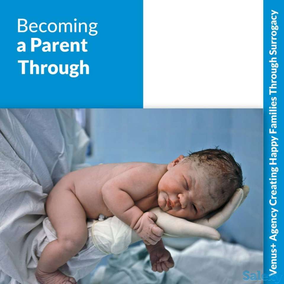 Срочно! В международную компанию ISCV, фотография 3