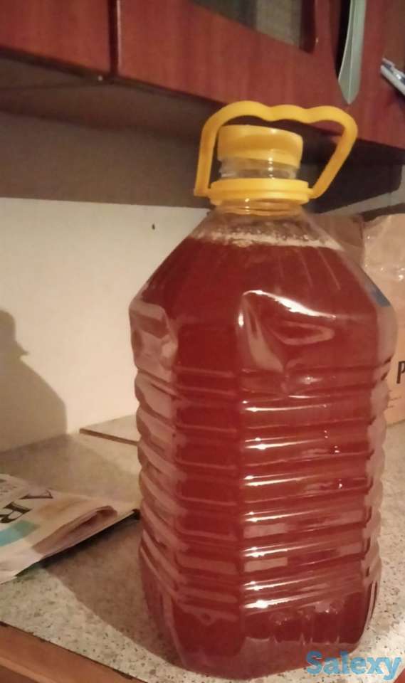 Продам Алтайский мед оптом, фотография 2