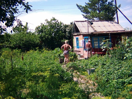 Продам дачу, фотография 1