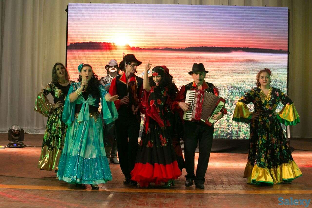 Аккордеонист/Баянист/Музыкант/Ведущий/Артисты/Цыгане, фотография 7