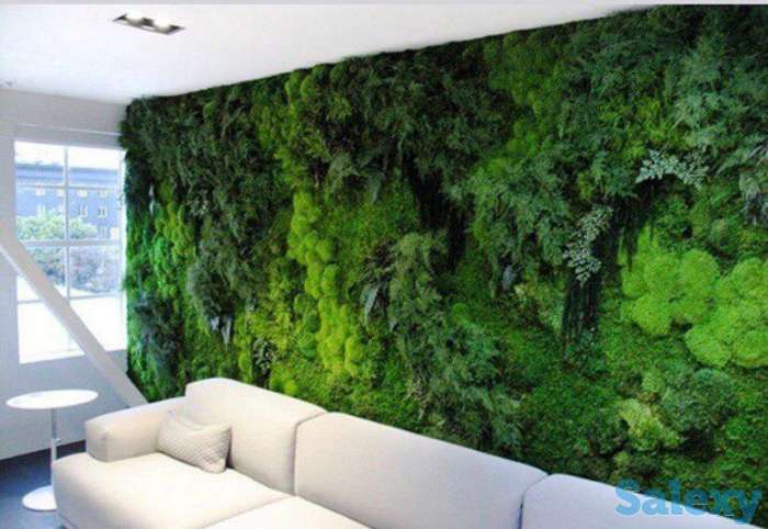 Озеленение интерьеров, фотография 5