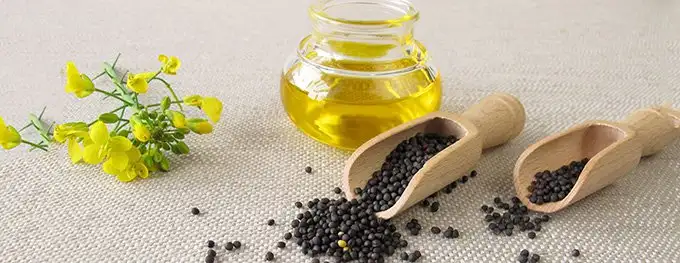 Рапсовое рафинированное дезодорированное масло от производителя, фотография 7