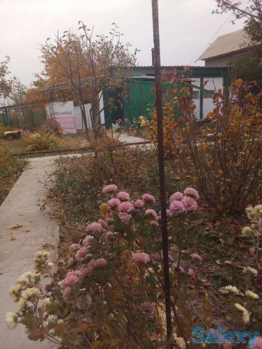 Продам дачный участок с летним домиком, Алматинская область, Каскеленский район, фотография 2