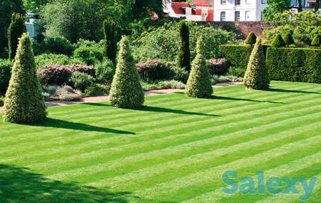 рулонный газон для дома, фотография 1