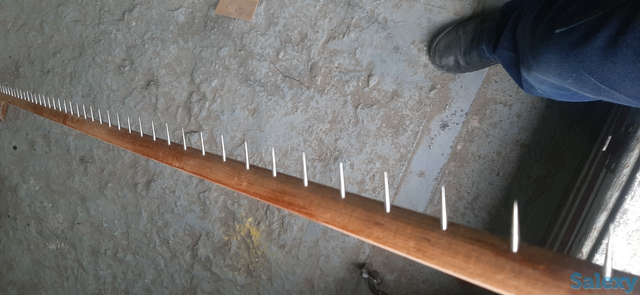 Планка колковая, фотография 2