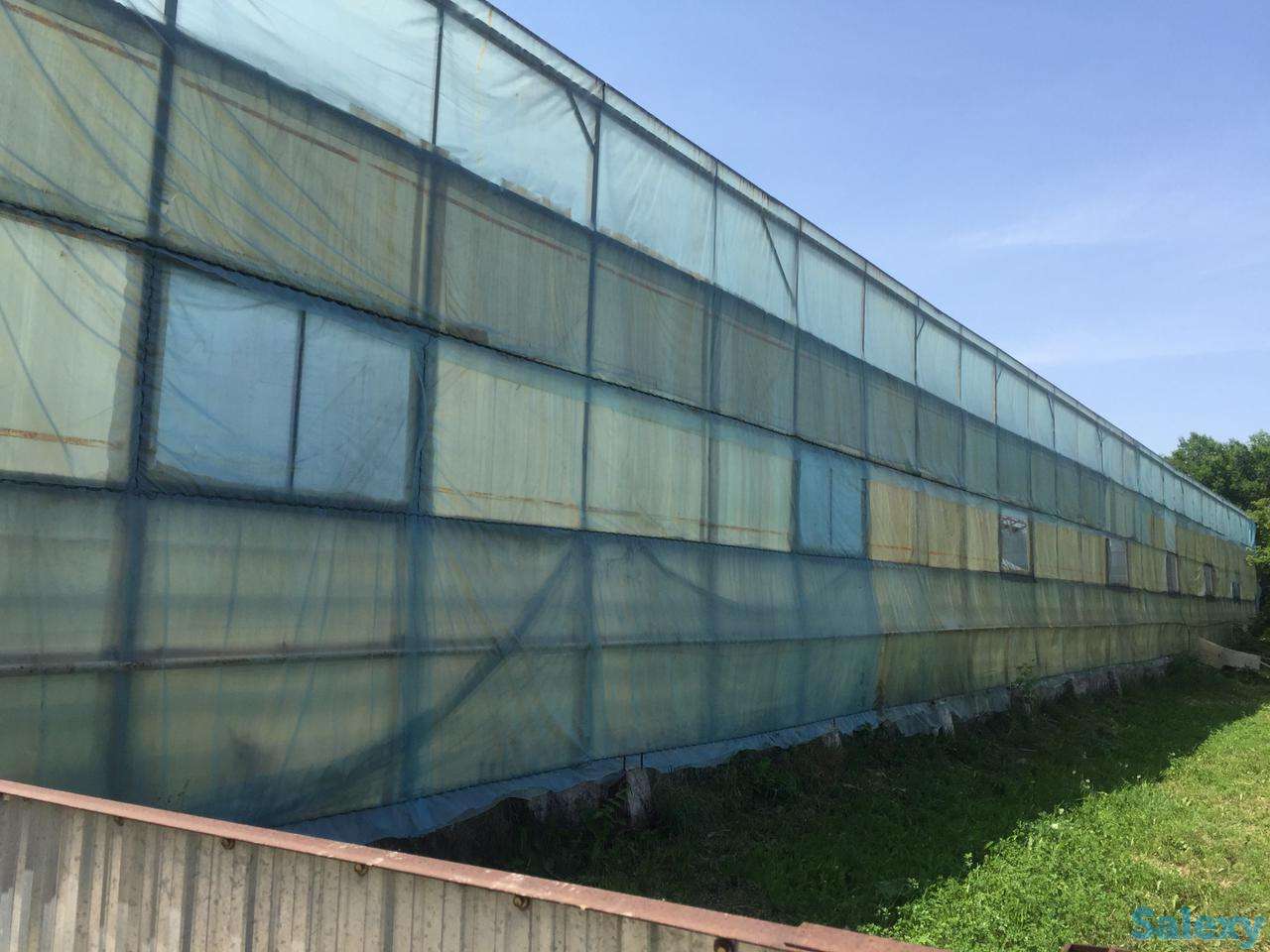 Теплица с выручкой от 6 млн. тенге в месяц!, фотография 6
