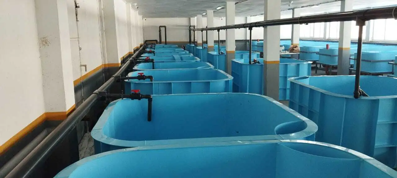 Проектирование, строительство, монтаж Установки Замкнутого Водоснабжения УЗВ, фотография 5