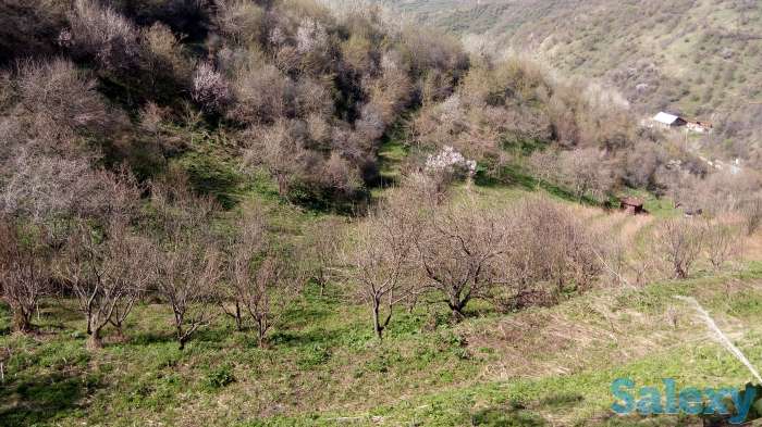 Продажа, Мкр Сулусай, фотография 1