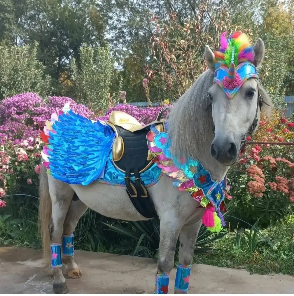 пони на Детский праздник, фотография 8