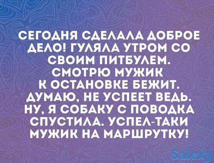 Продаю оптом зелень и овощи, фотография 2