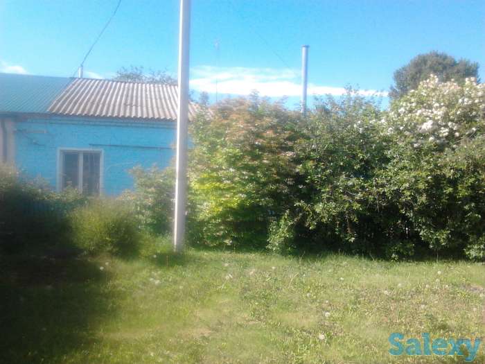 срочно не дорого продам дом  пос.Осиновский. Саратовская обл.Марксовский р-н.торг умеренный, фотография 1