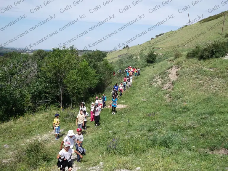 Детский оздоровительный лагерь ЭДЕЛЬВЕЙС  Текели, фотография 3