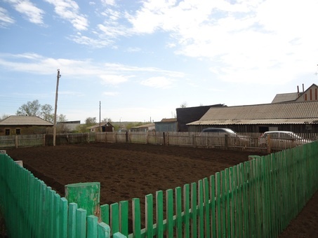 продам дом, с.Катарколь, фотография 2