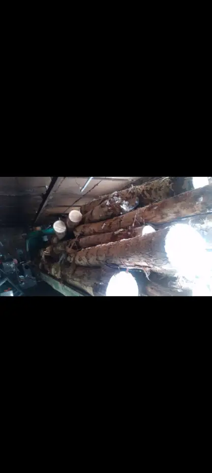 Продам дрова куб 15к доставка бесплатная чурками ЗИЛ КАМАЗ  работа 247, фотография 1