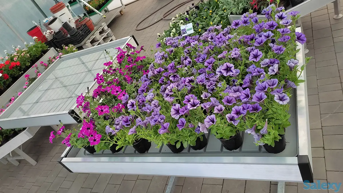 Вегетационные столы для выращивания рассады, фотография 4