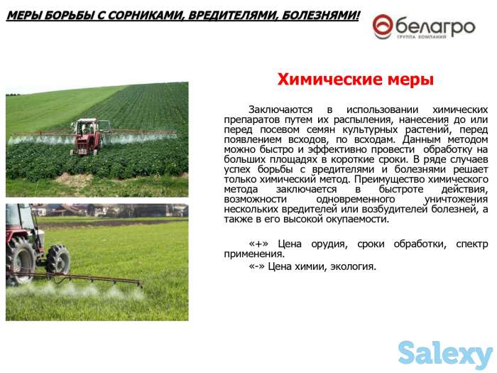 Опрыскиватель навес штанговый Demarol (600,800л; 12,15м), фотография 8