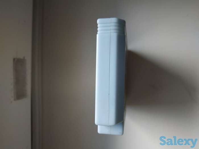 Nyankies Steepler Слон, фотография 4