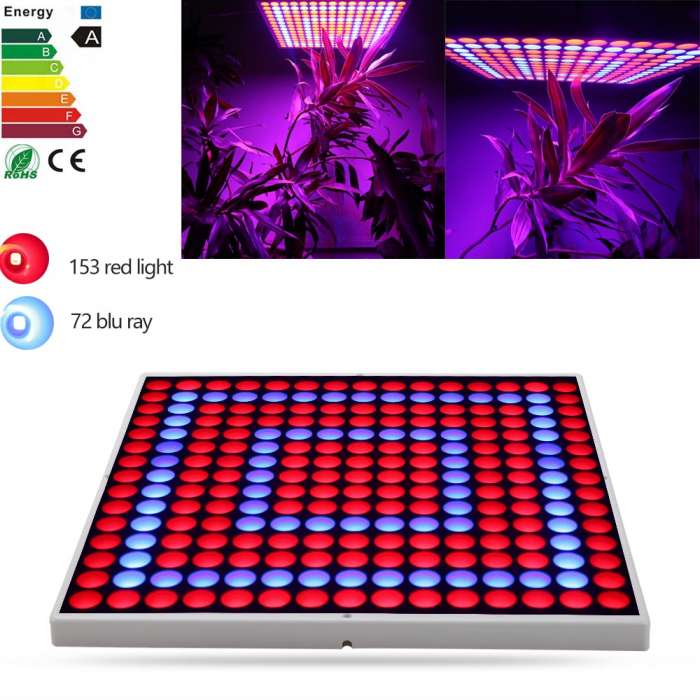 Фитолампы, фотография 7