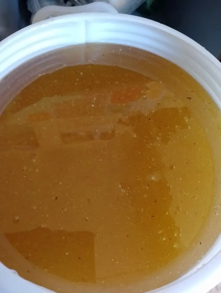 Продам свежий мёд, фотография 1