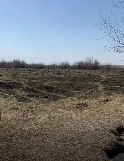 продажа земли КХ под фермерское хозяйство, Алматинская обл, пос Еламан, фотография 7