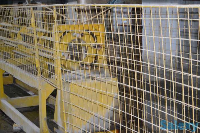 Сваенавивочная Машина на сваи 30-го сечения, фотография 2