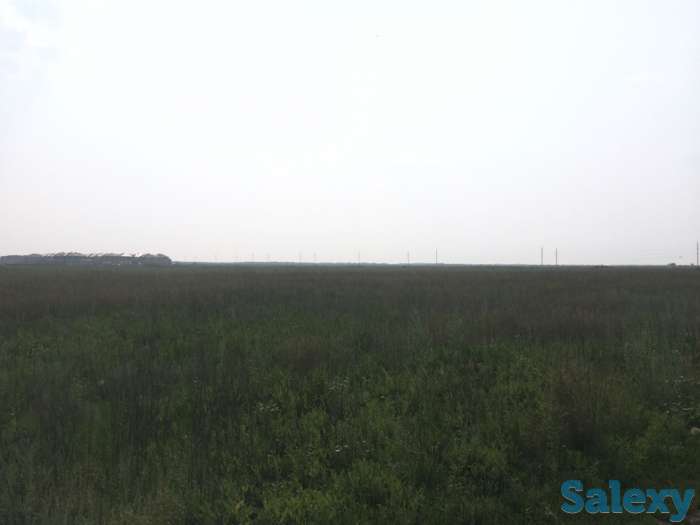 Продам земельный участок 5 га, фотография 3