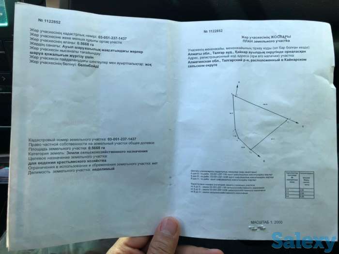 Участок в Талгаре 3,6 га, фотография 6