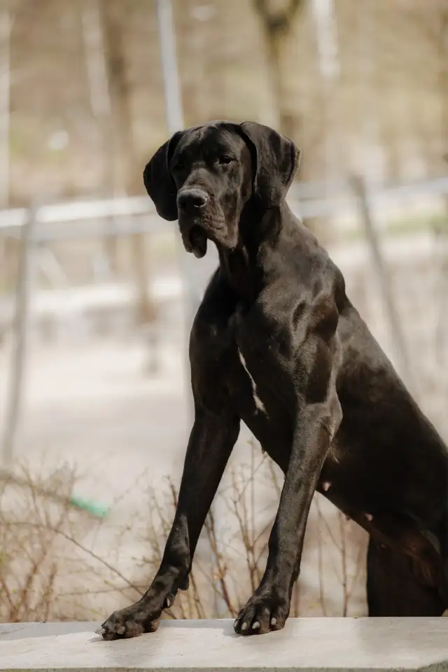 Продажа, фотография 2