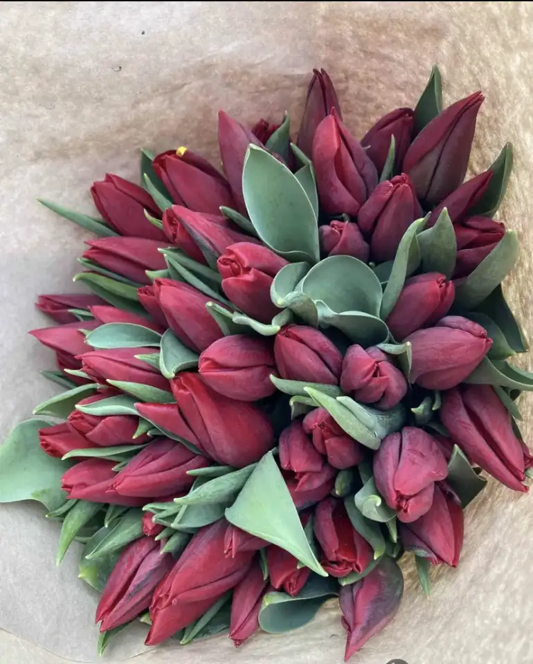 Тюльпаны премиум класса оптом к 8 марта, фотография 2