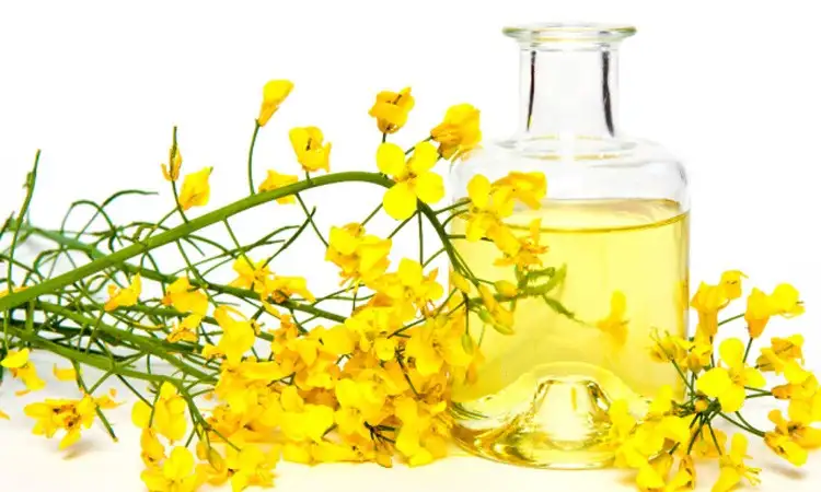 Рапсовое рафинированное дезодорированное масло от производителя, фотография 4