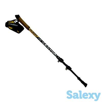 Палки Для Скандинавской Ходьбы Talberg Scandica Черные, фотография 1