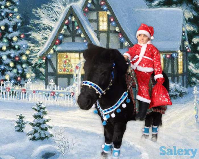 Письмо от деда Мороза с великого Устюга, фотография 1