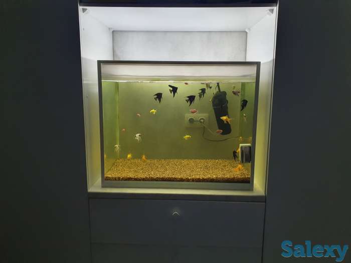 Продаю аквариум 250 литров, фотография 1