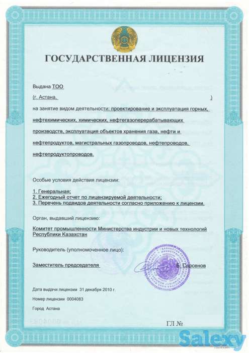 Подготовка и участие в аукционе на право недропользовании по ТПИ, фотография 1