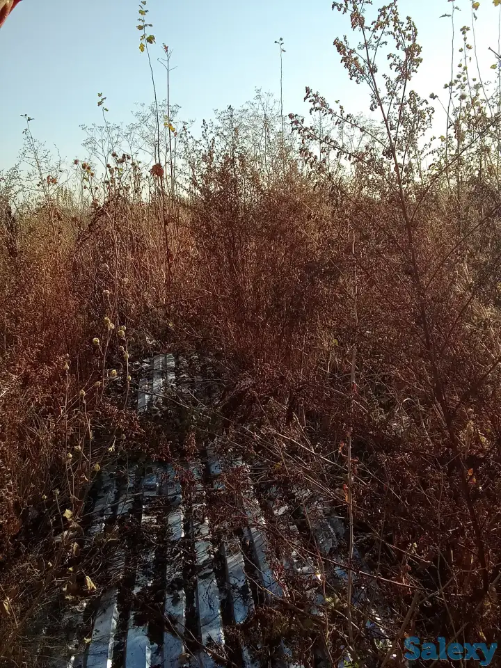 Продам профнастил бу., фотография 1