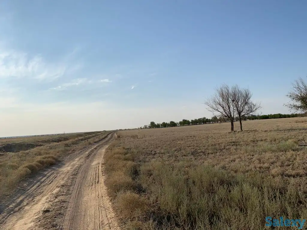 Продажа земельного участка, Алматинская область Илийский район, фотография 4