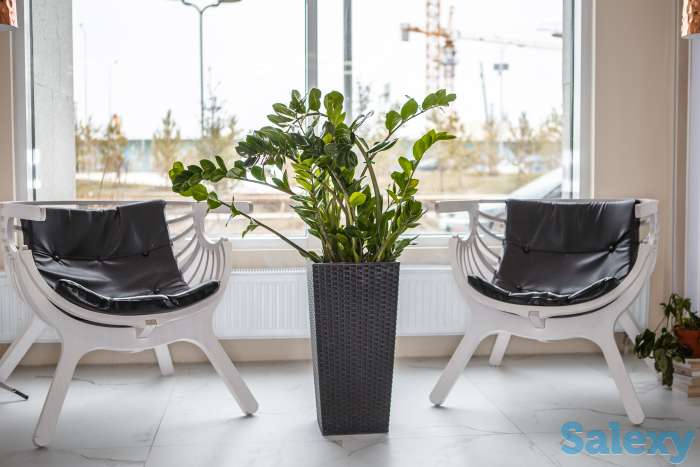 Имплантация зубов в Астане с гарантией!, фотография 7