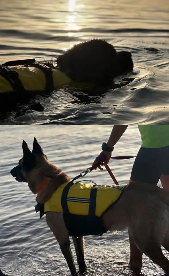 Семинар по службе спасения на водах, фотография 3