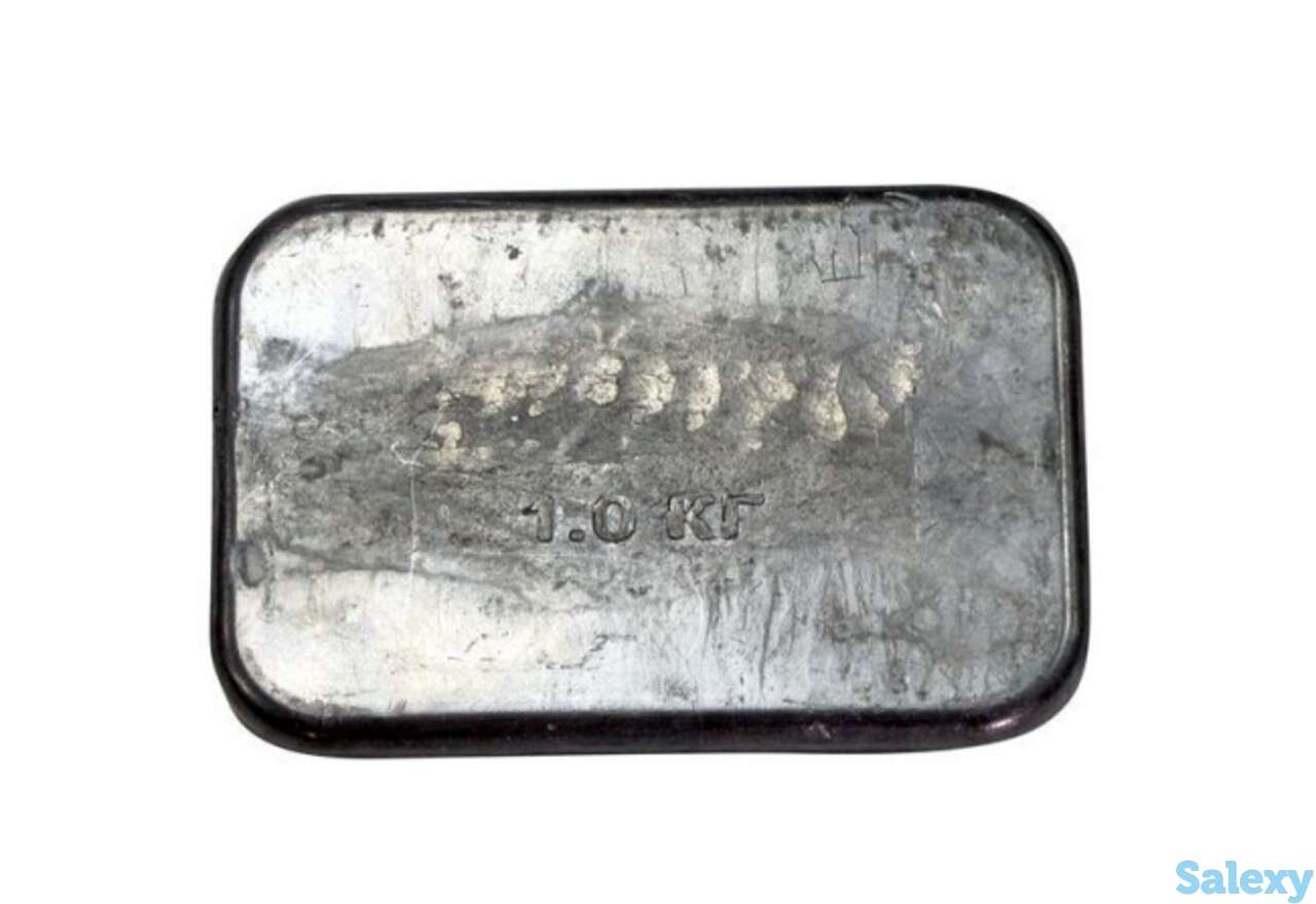 Пластина грузовая 1 кг для жилета, scorpena, фотография 1