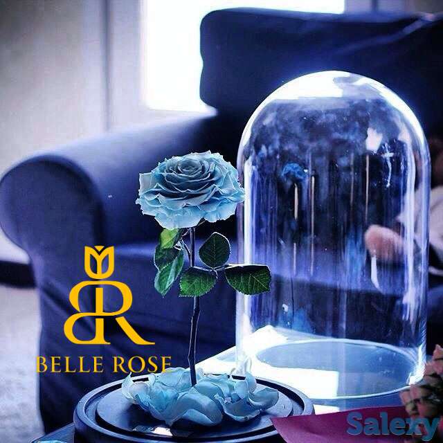 Живая Роза в стеклянной колбе - Бесплатная Доставка, фотография 2