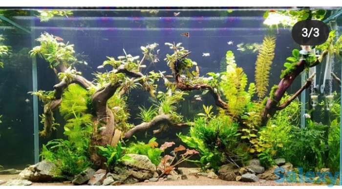 Дизайн аквариума, фотография 3