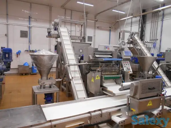 Пельменная линия Dominioni RSA 540, фотография 1