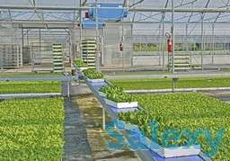 Транспортер для лотков (кассет) NTI, NTA, NTV URBINATI, фотография 2