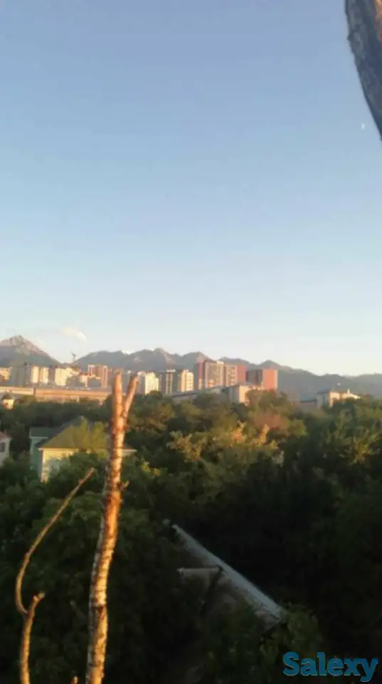 Спил деревьев по городу Алматы и Алматинской области, фотография 10