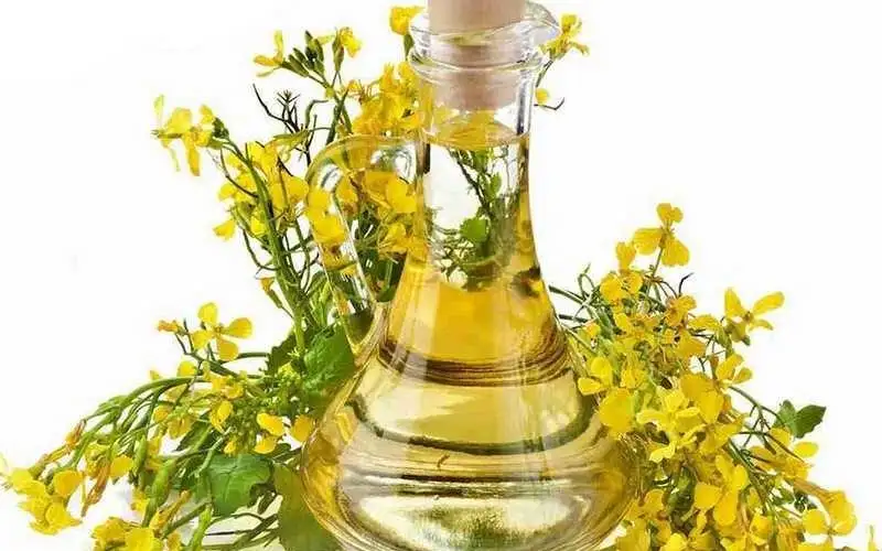 Рапсовое рафинированное дезодорированное масло от производителя, фотография 1