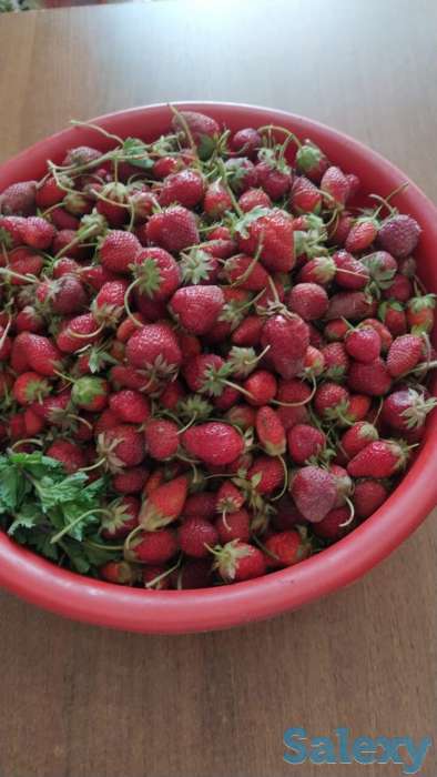 Спешите заказать клубничку местную,сразу с грядке., фотография 1