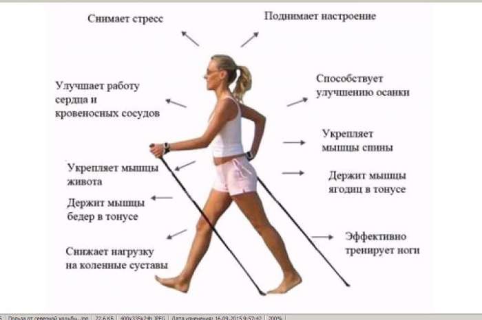 Палки цельные Sanego для скандинавской ходьбы. на рост 175-180 см., фотография 4
