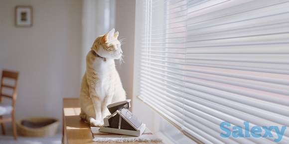 Жалюзи, фотография 11