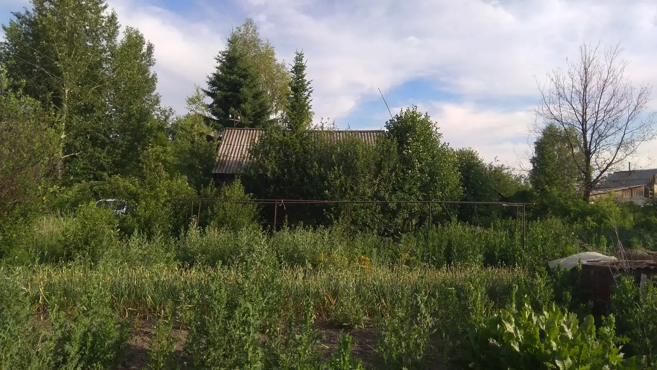 Продам дачу в СТ Восточник-5, Новая Согра, фотография 1