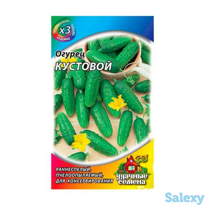 Семена Огурец Кустовой ХИТх3, фотография 1
